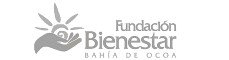 fundacionbienestarbdo.org